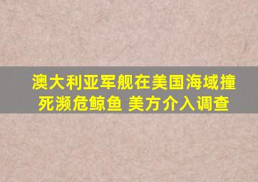 澳大利亚军舰在美国海域撞死濒危鲸鱼 美方介入调查